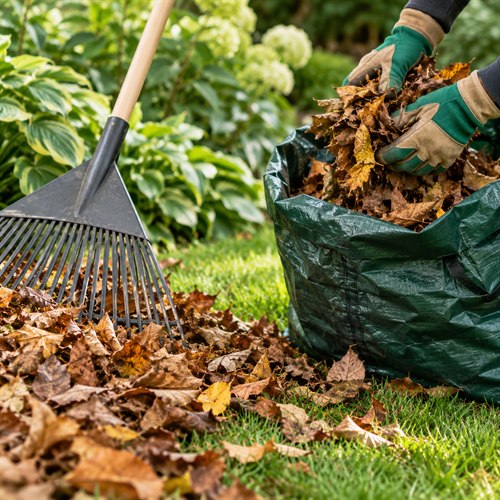 Leaf Removal and Haul-Away